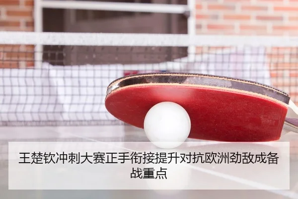 王楚钦冲刺大赛正手衔接提升对抗欧洲劲敌成备战重点 | WukongSports